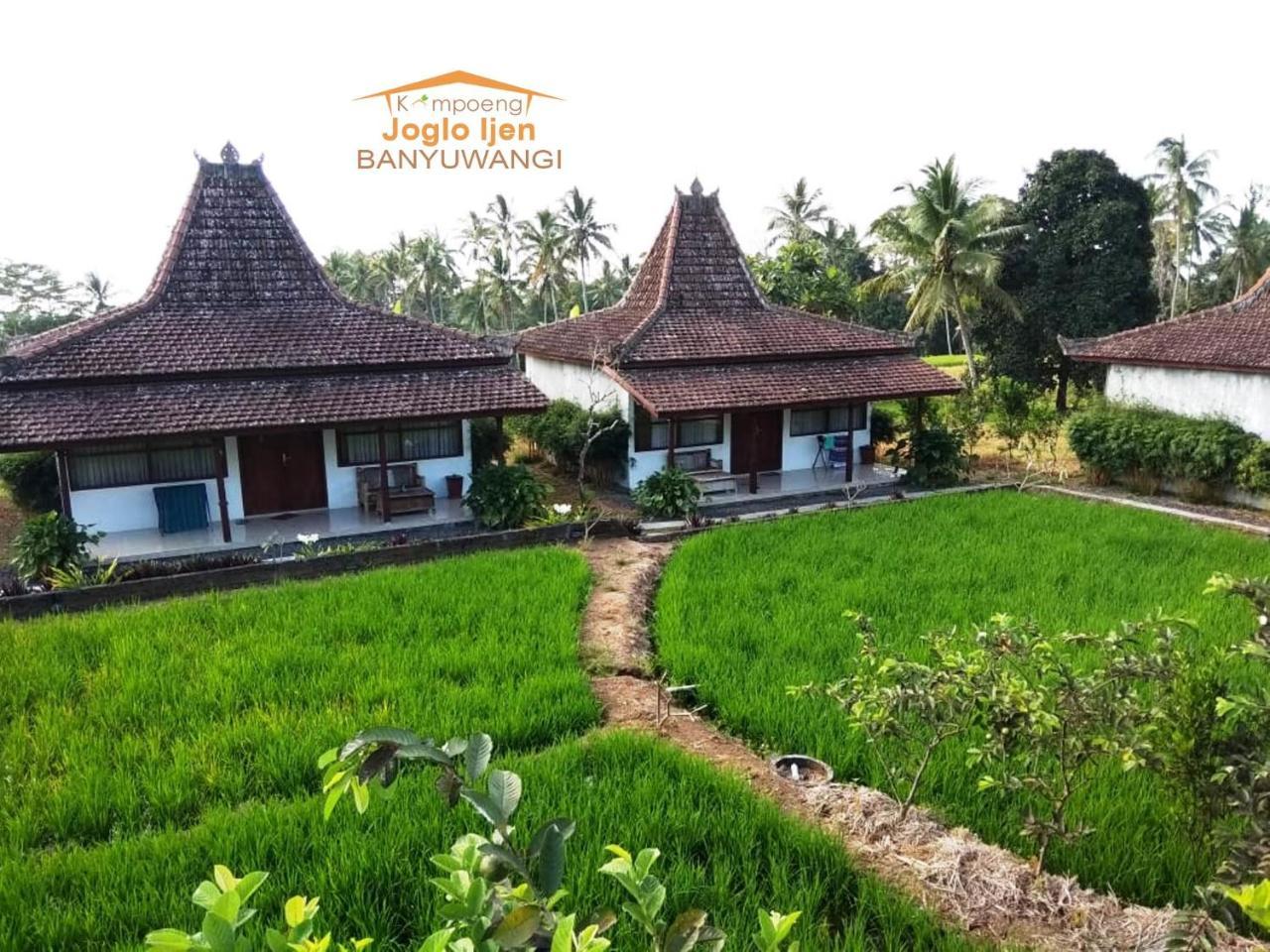 Kampoeng Joglo Ijen Villa Banyuwangi  Exterior photo